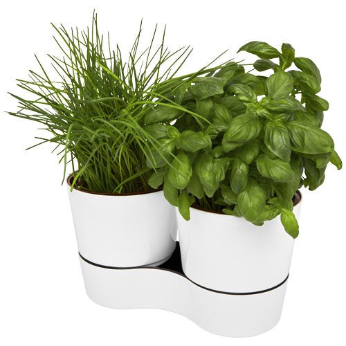 Mepal maceta doble para cocina"Herbs"