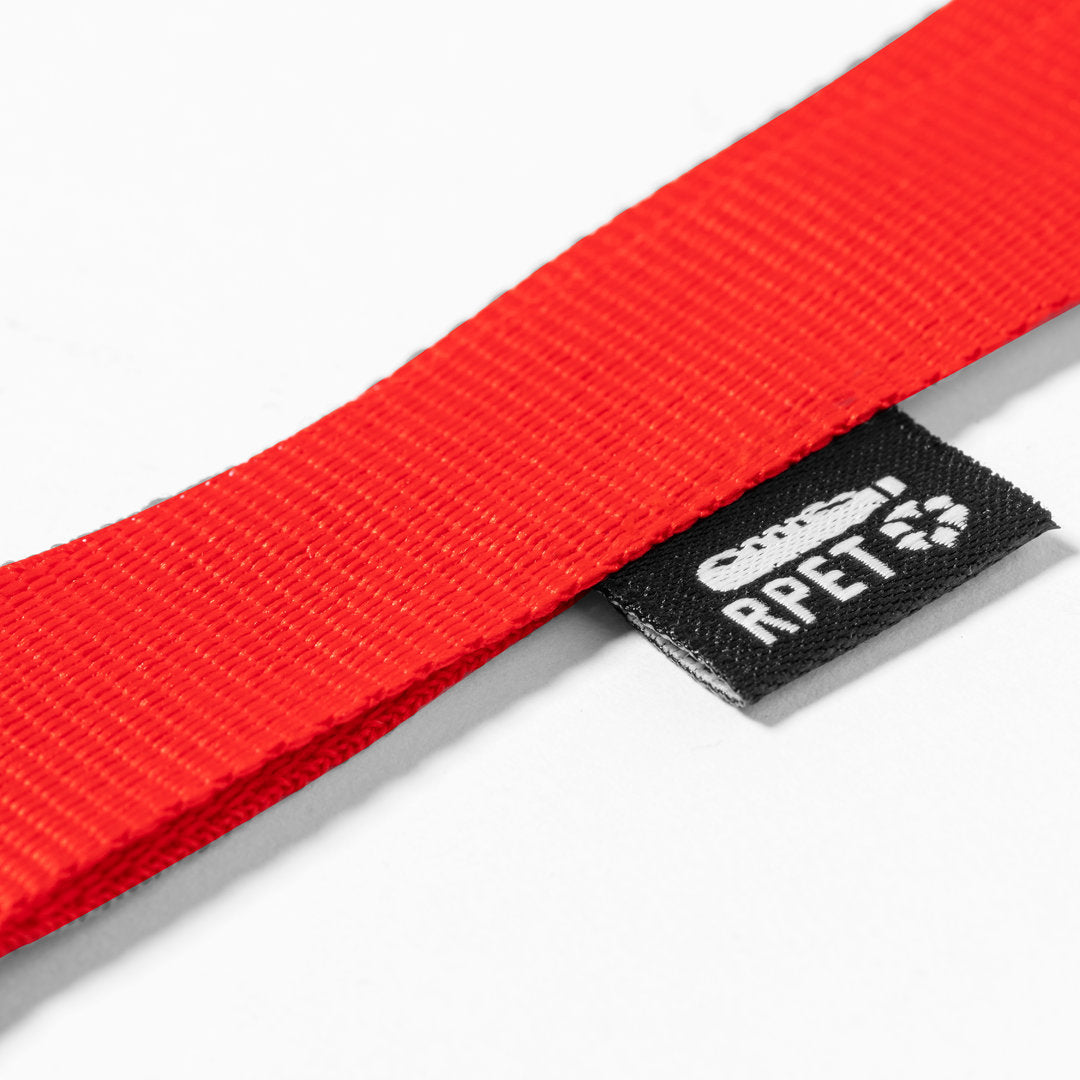 Lanyard