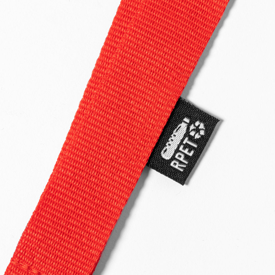 Lanyard