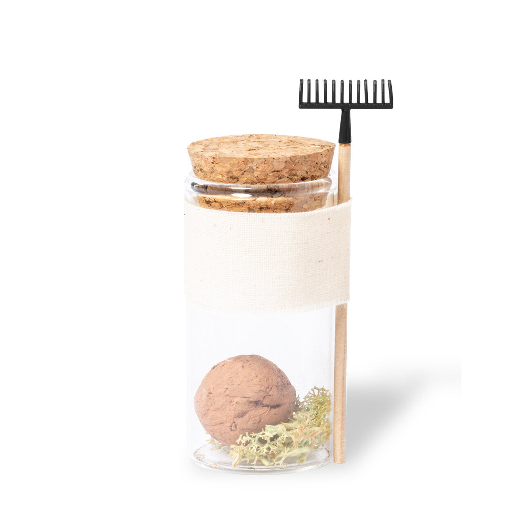 Bombón Semillas