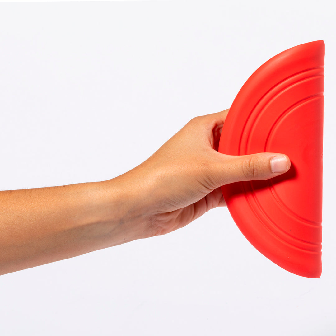 Frisbee