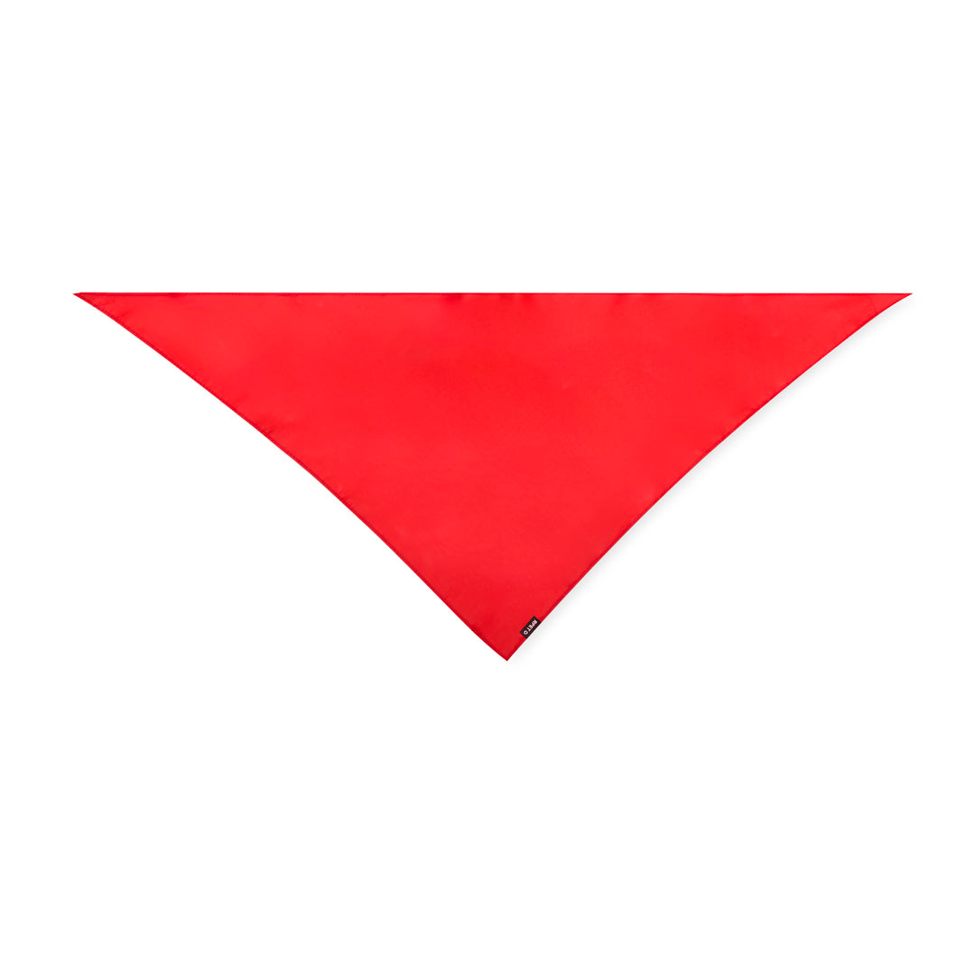 Pañoleta