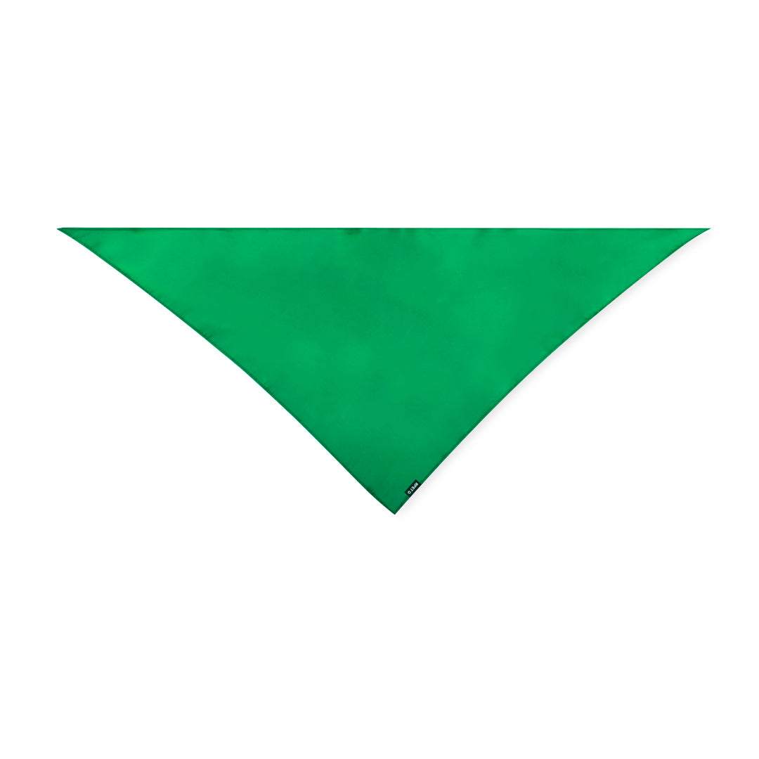 Pañoleta