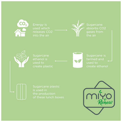 Fiambrera de 700 ml MIYO