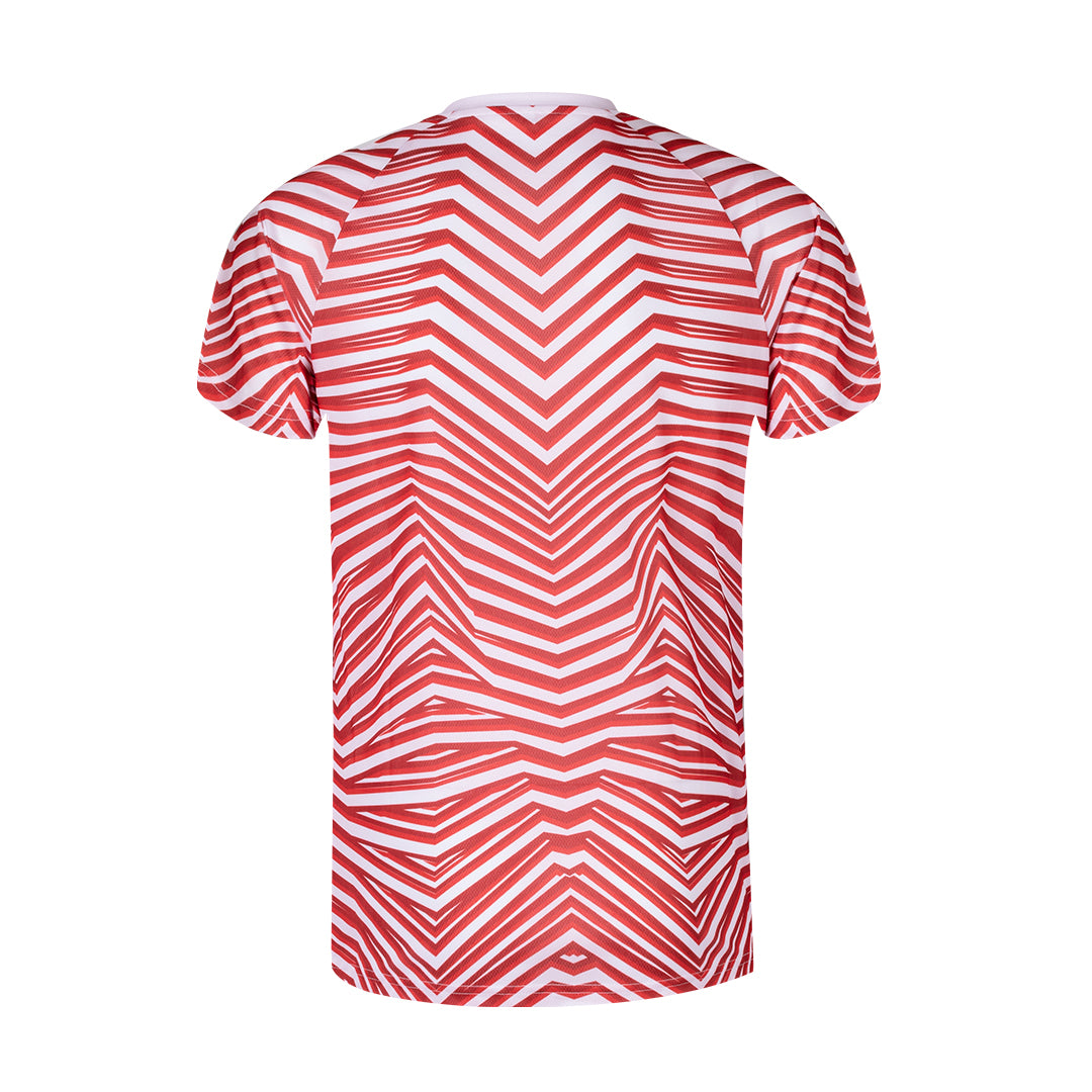 Camiseta Adulto