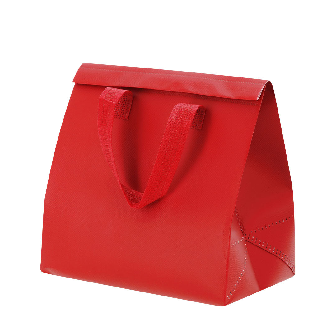 Bolsa Nevera