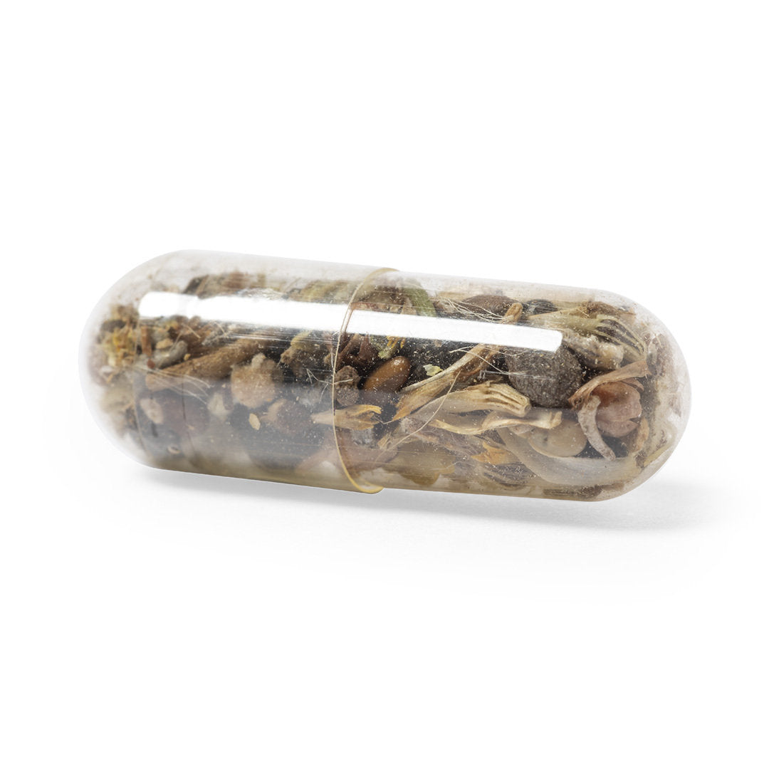 Capsula Semillas