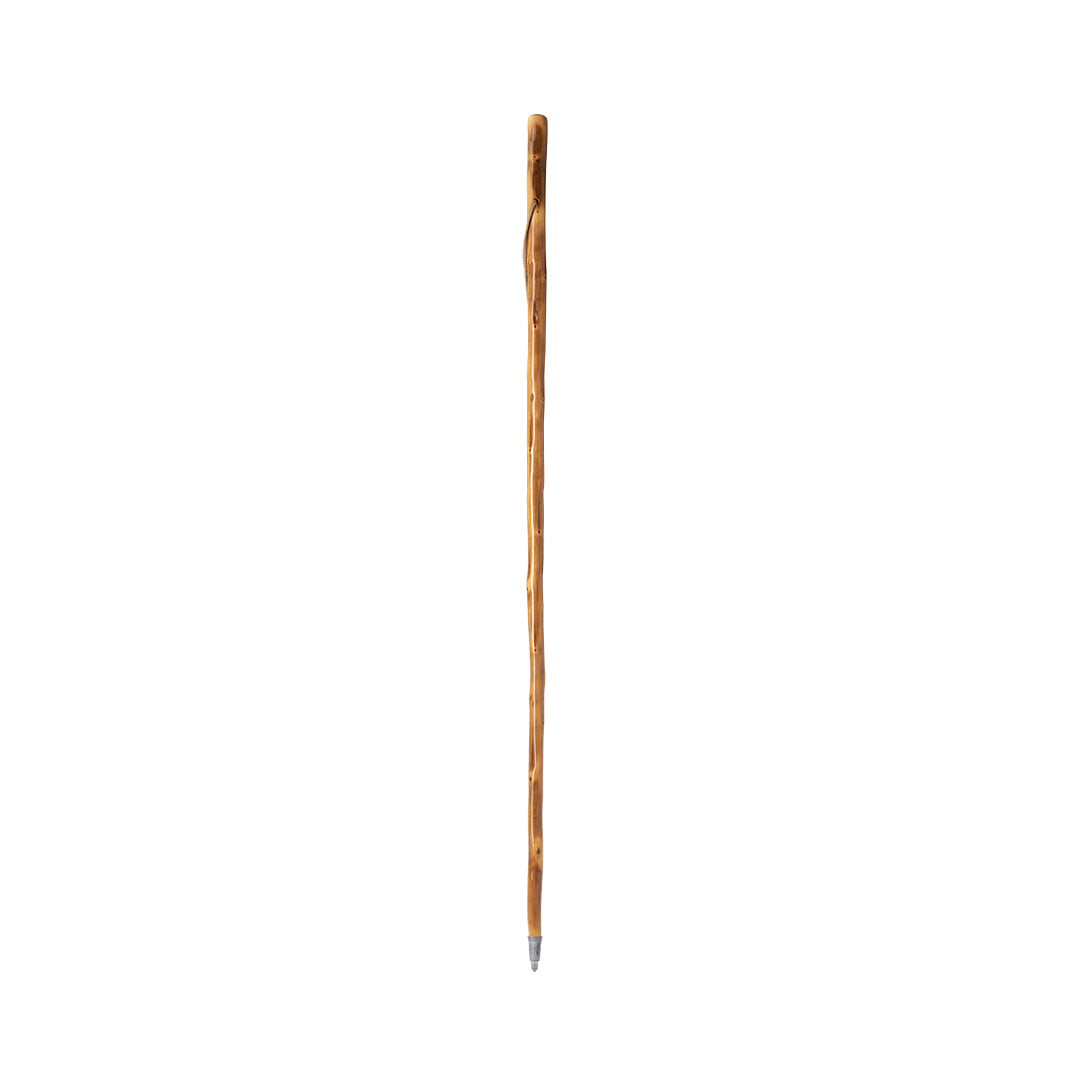Bastón