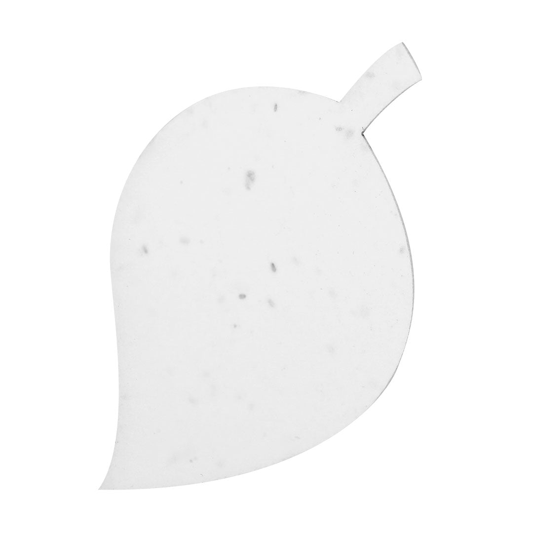 Papel Plantable