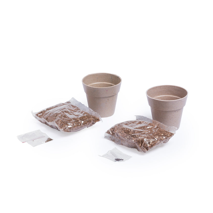 Set Macetas