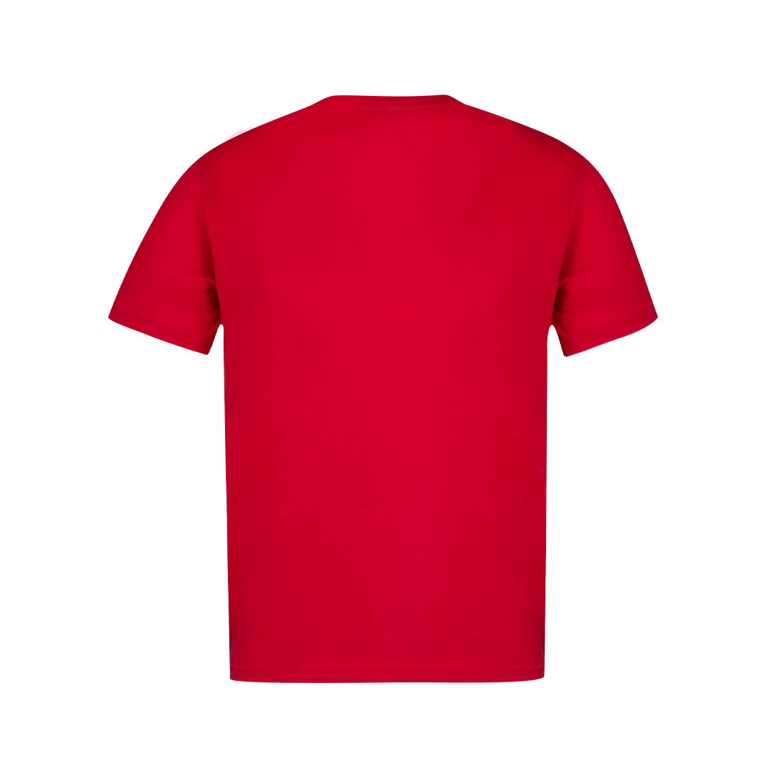 Camiseta Adulto Color