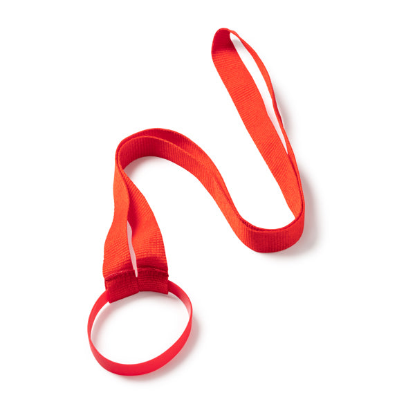 Lanyard