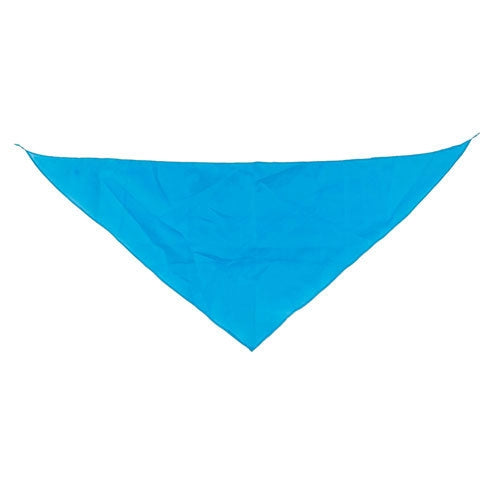 Pañoleta